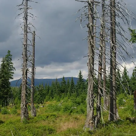 Mlynarka - Cerny Dul, Krkonose Cerny Dul